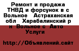 Ремонт и продажа ТНВД и форсунок в с.Вольное - Астраханская обл., Харабалинский р-н, Вольное с. Авто » Услуги   